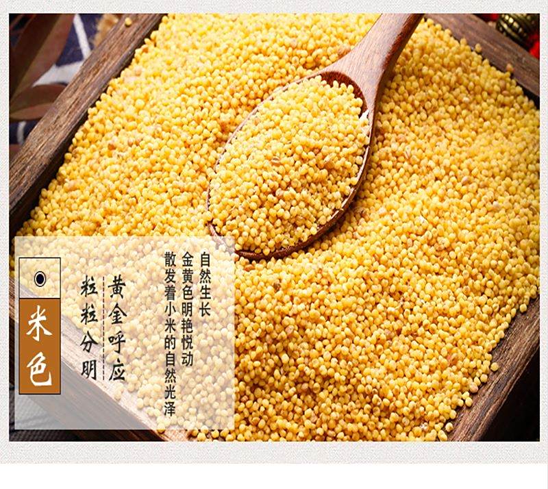 宜章縣順福商貿有限公司,湖(hú)南(nán)海(hǎi)産品,蔬菜制(zhì)品,雜(zá)糧