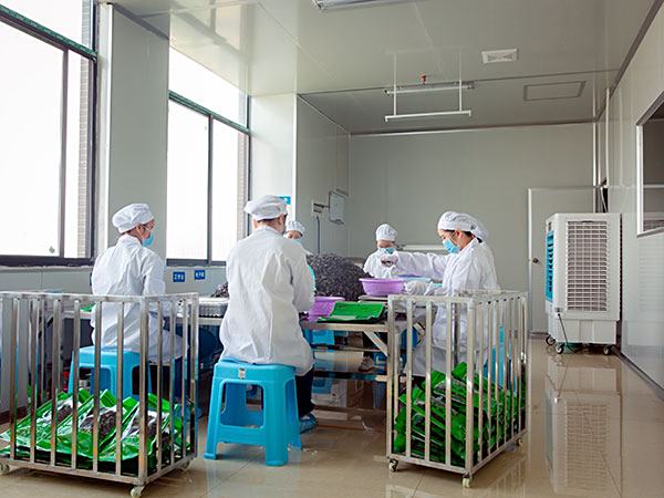 生(shēng)産車(chē)間(jiān)