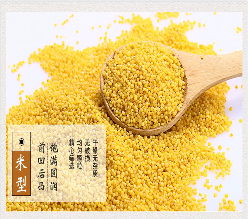 宜章縣順福商貿有限公司,湖(hú)南(nán)海(hǎi)産品,蔬菜制(zhì)品,雜(zá)糧