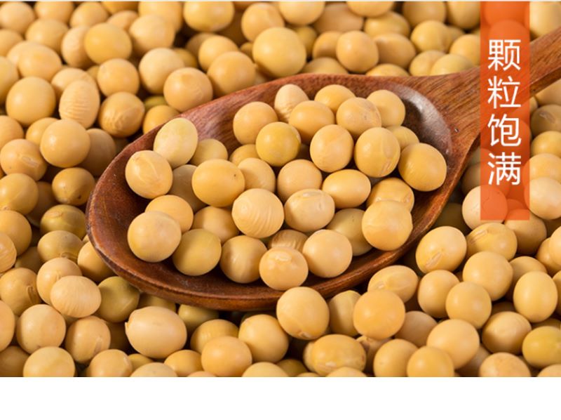 宜章縣順福商貿有限公司,湖(hú)南(nán)海(hǎi)産品,蔬菜制(zhì)品,雜(zá)糧