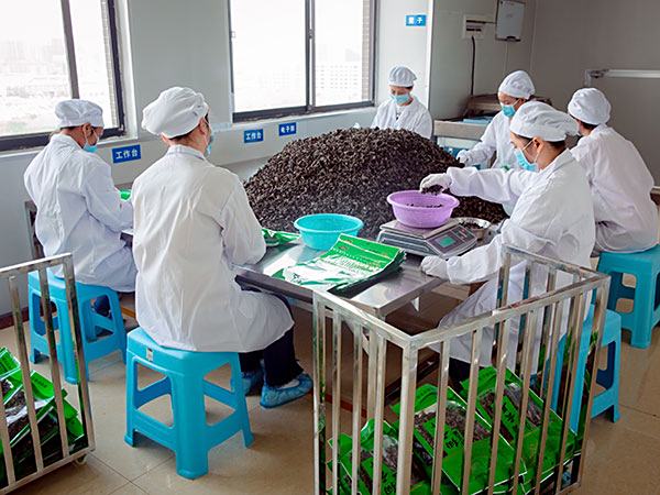 生(shēng)産車(chē)間(jiān)