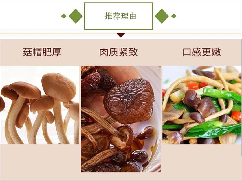 宜章縣順福商貿有限公司,湖(hú)南(nán)海(hǎi)産品,蔬菜制(zhì)品,雜(zá)糧