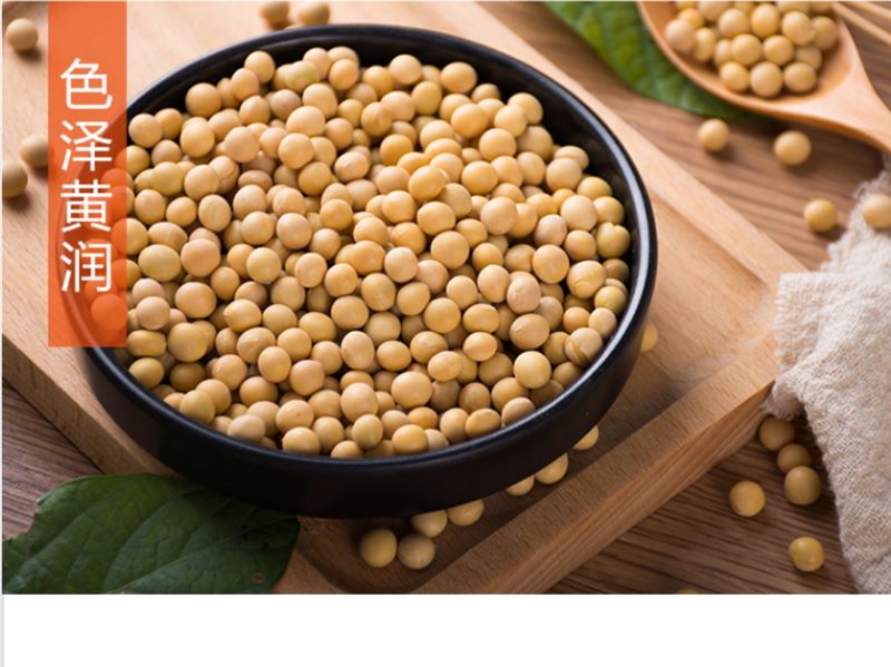 宜章縣順福商貿有限公司,湖(hú)南(nán)海(hǎi)産品,蔬菜制(zhì)品,雜(zá)糧